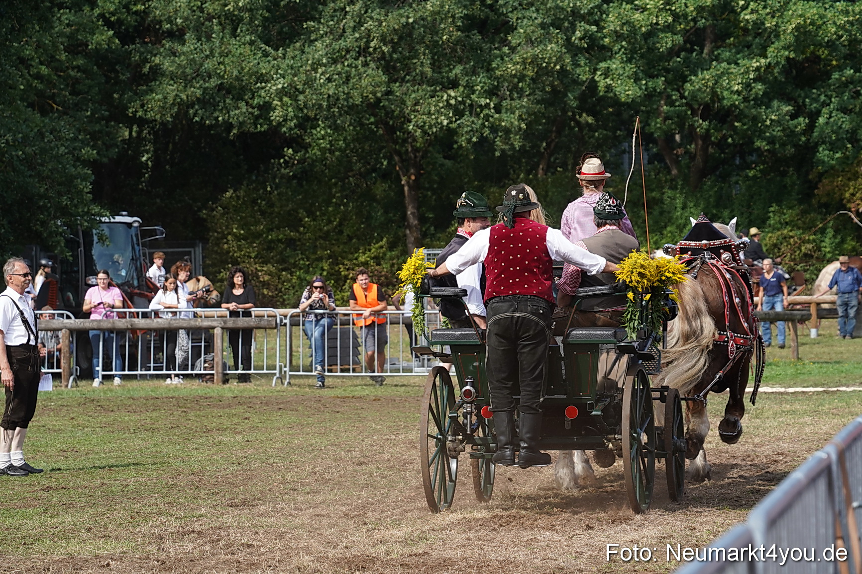 Pferde und Fohlenschau 2022 0241 